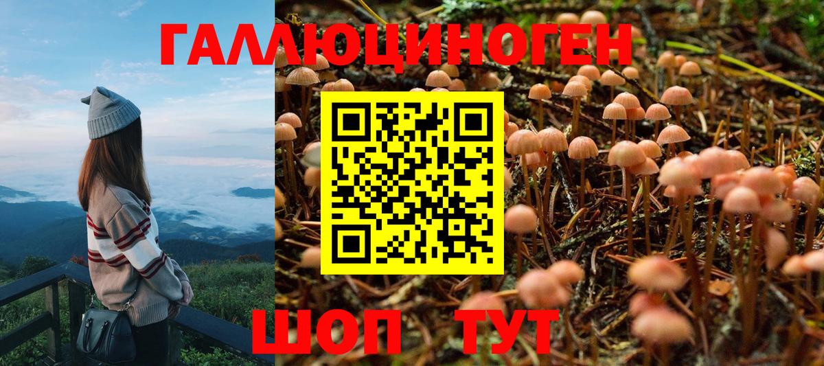 Галлюциногенные грибы Psilocybine cubensis Нижневартовск