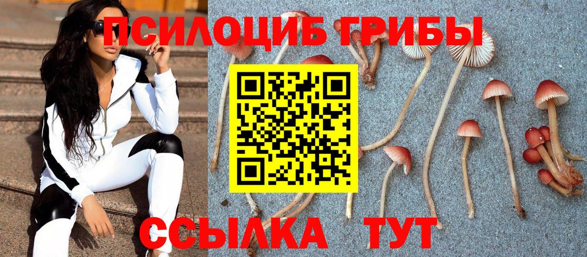 Псилоцибиновые грибы Psilocybe  Вход с VPN  Нижневартовск 